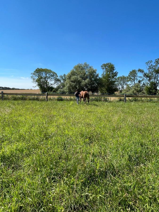 Radlerzimmer mit Duschbad und Miniküche in Neu Gaarz, mitten in der Natur Exterior foto